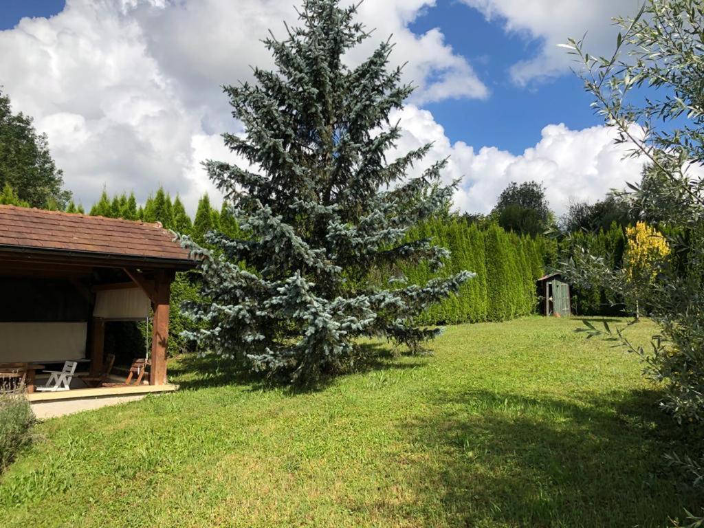 Maison/Gite Familial Dans Le Jura A 200M Du Lac Avec Piscine Privee Marigny  Exterior foto