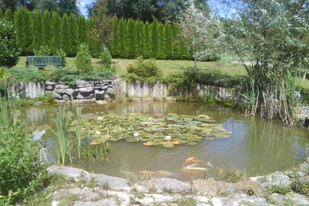Maison/Gite Familial Dans Le Jura A 200M Du Lac Avec Piscine Privee Marigny  Exterior foto