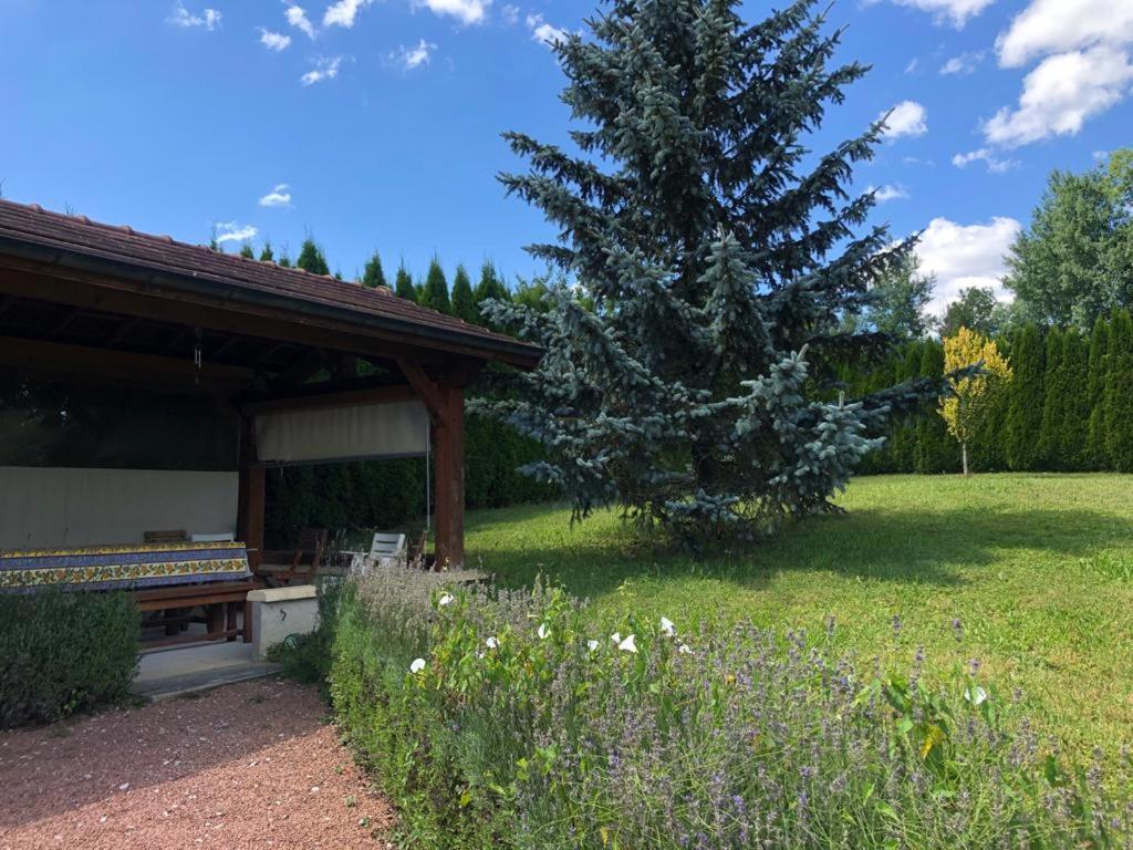 Maison/Gite Familial Dans Le Jura A 200M Du Lac Avec Piscine Privee Marigny  Exterior foto