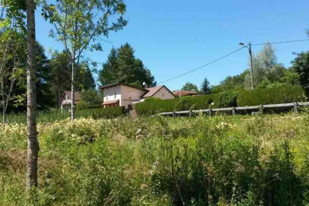 Maison/Gite Familial Dans Le Jura A 200M Du Lac Avec Piscine Privee Marigny  Exterior foto