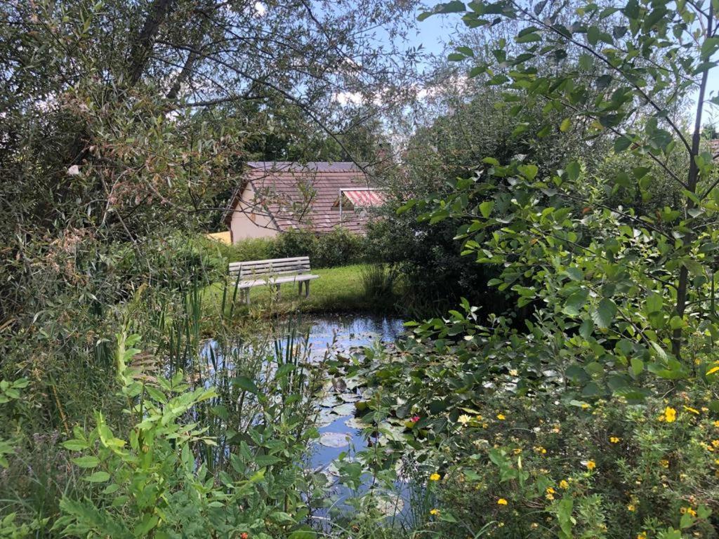 Maison/Gite Familial Dans Le Jura A 200M Du Lac Avec Piscine Privee Marigny  Exterior foto